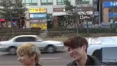 Royal Pirates - RP TV