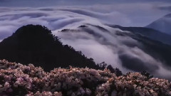 林海,音乐短片 - 守候