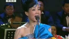 王宏伟 - 父亲 & 儿行千里