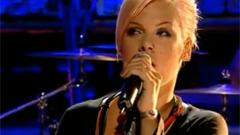 Pink - Who Knew T4 Icon
