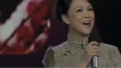 华语群星 - 红梅赞