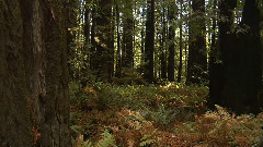 世界最美丽的地方