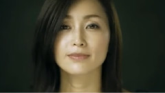酒井法子 - 碧いうさぎ 中文版