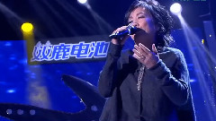 齐豫 - 月亮代表我的心