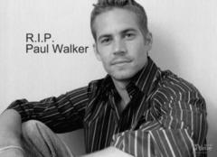 Skylar Grey,欧美群星 - A Tribute To Paul Walker (Coming Home)