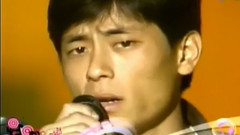 王杰,叶欢 - 你是我胸口永远的痛