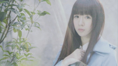 七朵组合 - 桂花香