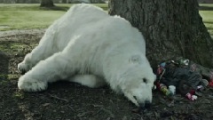 音乐短片,Jude Law - A Homeless Polar Bear In London