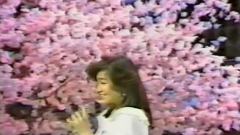 柏原芳惠 - 春ごころ