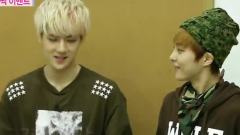 EXO,A Pink,SHINee - MBC我们结婚了