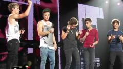 One Direction - While We're Young