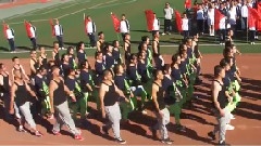 模仿翻唱 - 江南Style