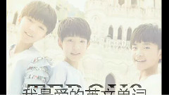 TFBOYS - TFboys四叶草