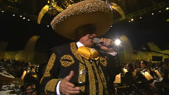 Vicente Fernández - Hermoso Cariño
