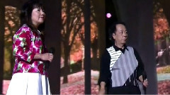 日本群星 - 冬が来る前に