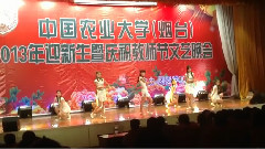 模仿翻唱 - 落花情