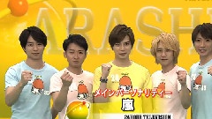 岚 - 24时间テレビ35の见どころ先取りスペシャル!中文字幕 12/08/05