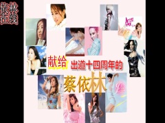 蔡依林 - 蔡依林14周年纪念日