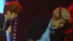 EXO,EXO-K,EXO-M - Wolf