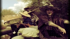 The Twang - Guapa