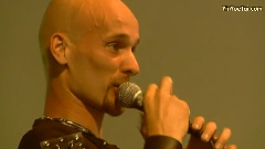 Within Temptation - caged