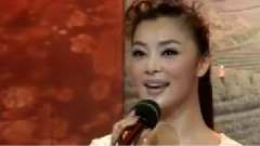 茶妹子