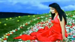 Shahzoda - Kechalar