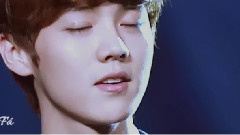 EXO-M,EXO - 情非得已