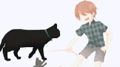 待ち猫と少年