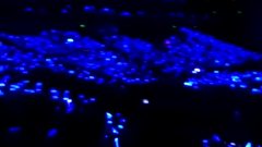 Super Junior - 宝蓝海