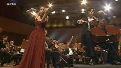 欧美群星 - Brahms Double Concerto