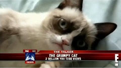 搞笑音乐 - Tardar Sauce the Grumpy Cat