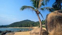 乐动城市,沈小岑 - 请到天涯海角来