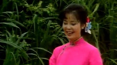邓丽君 - 小媳妇回娘家