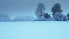 欧美群星 - Es Ist Ein Schnee Gefallen