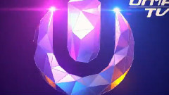 欧美群星 - Ultra Music Festival 2013