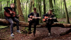 Coastal Cities - Roots