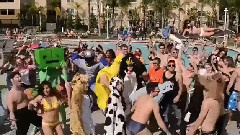 音乐短片,搞笑音乐 - Harlem Shake