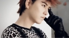 Super Junior,圭贤(Super Junior) - 少年圭的奇幻漂流 圭贤庆生