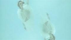 T.M.Revolution - 脐淑女-