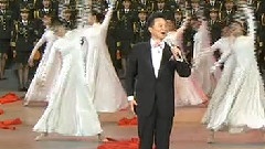 王宏伟 - 迎风飘扬的旗