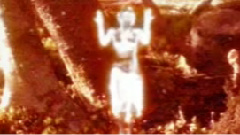 VOCALOID家族 - Fairy Taled