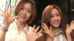 T-ara - 韩流ファクトリ