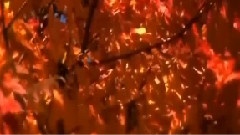 陈瑞,音乐短片 - 哭泣的红颜