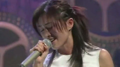 酒井法子 - 碧いうさぎ