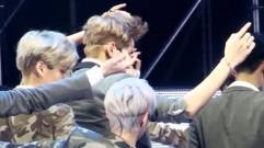 EXO,EXO-M - WOLF
