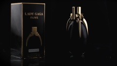 Lady Gaga - Fame