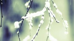 初音未来 - 四季彩々