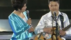 华语群星 - 西部恋歌跨年演唱会CUT