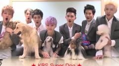 EXO,Infinite,Girl's Day,韩国群星 - KBS Super Dog